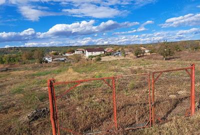 Teren de 5000 mp, în Vrancea - 1