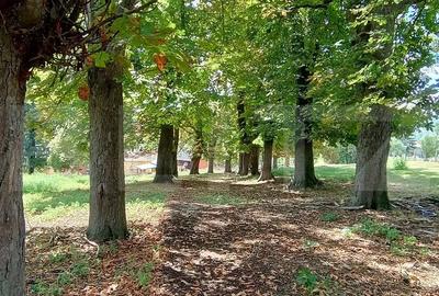 Cabana cu teren intravilan 18.449 mp - Paingeni | 7,5 EUR/mp | Vedere panoramica