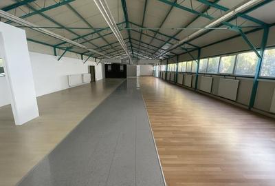 Spatiu comercial 720 mp | Calea Dumbravii - 2