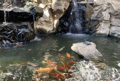 Garsonieră semidecomandată, mobilată în Herăstrău - 13