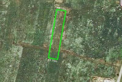 Teren Construcții intravilan de 1000 mp, în Tâncăbești - 2