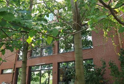 Proprietate de investi?ie premium Chiajna Padurea Ro?u Lacul Morii 2500mp teren, casa 400mp - 4