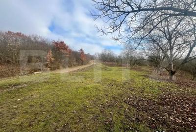 Teren de 40600 mp, în Central