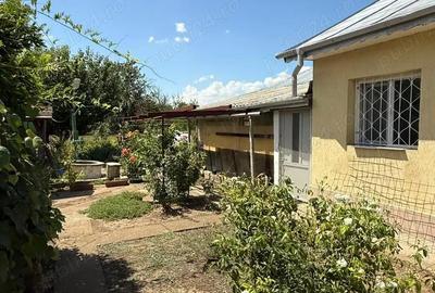 Casă cu 3 camere în Fundata - 4