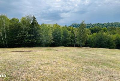 Spațiu comercial, în Central - 9