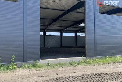 Hala de inchiriat cu platforma betonata de 1334 mp, zona Sanandrei - 7