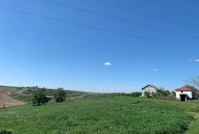 FERMĂ - LA DN3 - 10.680 MP/84 M DESCHIDERE - UTILITĂȚI - 12