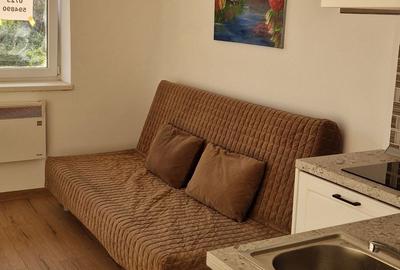 Apartament nedecomandat în Noua - 7