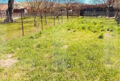 Casă cu 2 camere cu Teren 793 Mp în Bodoc - 8