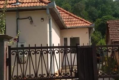 Casă în comuna Săvârșin - 6