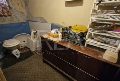 Casa batraneasca la 6 minute de statia de metrou Mihai Bravu - 9