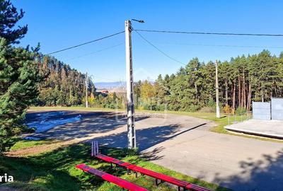 Teren de 3000 mp, în Poiana Angelescu - 10