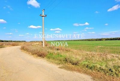 Teren 9Ha -> 16Ha Ha Intravilan , Exit A3 Snagov Ghermanesti Bucuresti-Ploiesti - 8