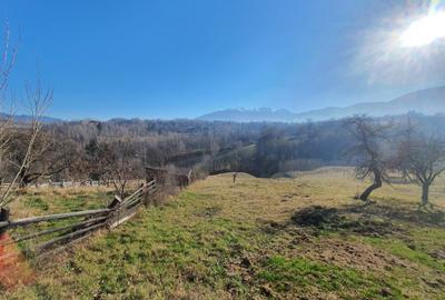 Teren rezidential zona Bran Tohanita zona de case - 4