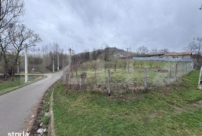 Teren de 1964 mp, în Bezdead - 3