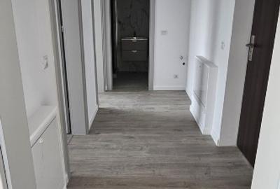 Apartament cu 2 camere decomandat în Albert - 2