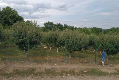 Spațiu comercial, în Dorohoi - 7