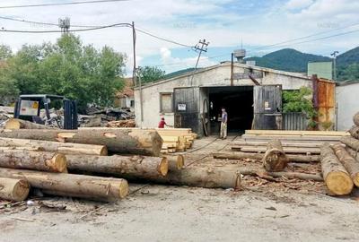 Ferma de animale - 59303 mp teren plus 12950 mp de cladiri - 3