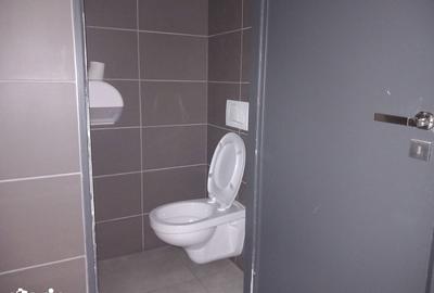 Spațiu comercial, de 148 mp, în Traian - 9