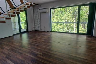 Birou, de 530 mp, în Central - 3