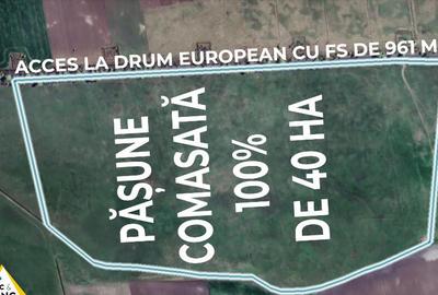 Teren PASUNE de 40ha, Comasat 100% cu FS de 961 ml la Drumul European Teren PASUNE de 40ha, Comasat 100% cu FS de 961 ml la Drumul European - 2