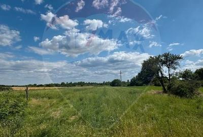 Teren Construcții intravilan de 4000 mp, în Fierbinți-Târg - 1