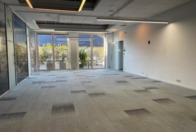 Vanzare Vila Exclusivista Aviatorilor - 27