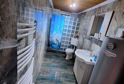 Casă cu 4 camere în Sărsig - 4