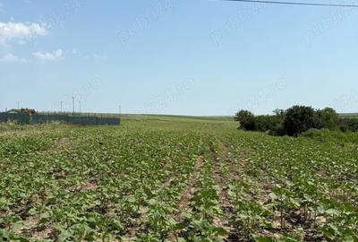 Teren de 8600 mp, în Central - 2