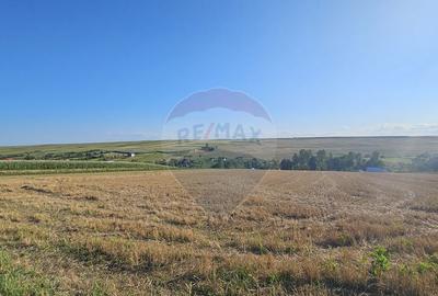 Teren intravilan, 7500 mp in Moara Carp / Strada Eternita... - 15