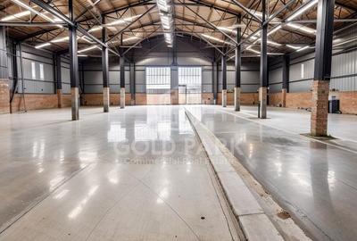 Hala in curs de Renovare-Calea Baciului-Suprafete intre 300-800 mp - 2