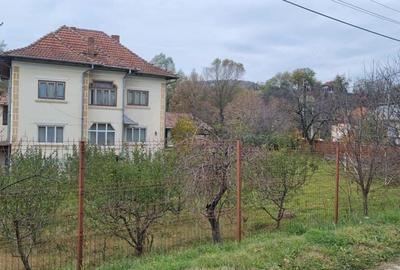 Casa Vila de vanzare, re?edin?a, ferma, Arge? - Valea Topologului. Lini?te, natura ?i aer curat ! - 3