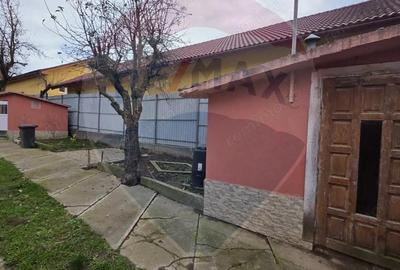 Casa de vanzare in Cetatea de Balta - 17