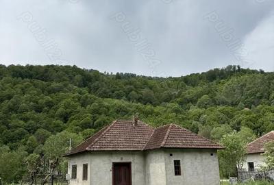 Casă cu 2 camere cu Teren 3350 Mp în Munteni - 4