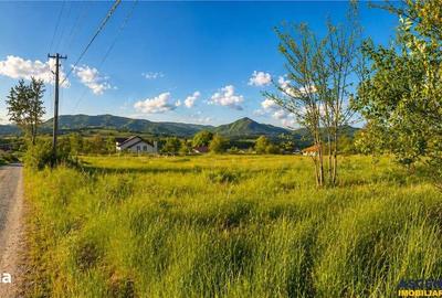 Spațiu comercial, în Ibănești - 1