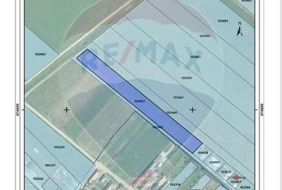 Vanzare teren rezidential 7500 mp Brasov, Halchiu / Strada Romana