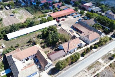 Casă cu 3 camere cu Teren 669 Mp în Cenad - 9