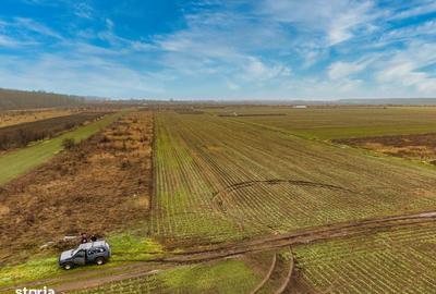 Spațiu comercial, în Săbăreni - 5