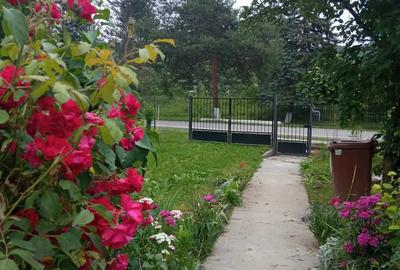 DE VANZARE! Casa slanic prahova + teren DE VANZARE! Casa slanic prahova + teren - 1