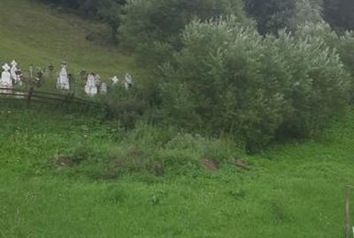 Teren de 600 mp, în Central - 6