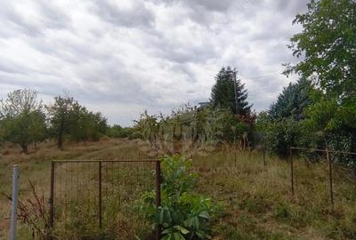 Teren de 17211 mp, în Păulești - 3