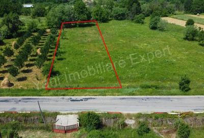 Teren de vanzare in comuna Domne?ti, jude? Arge?. - 5