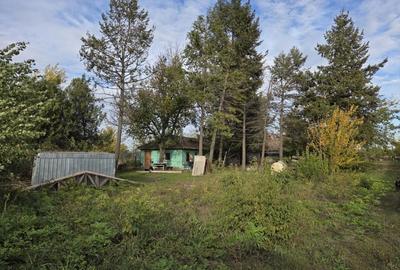 Teren intravilan 9970 mp, com. Chirnogi, jud. Calarasi (la  50 km de Bucuresti) - 6