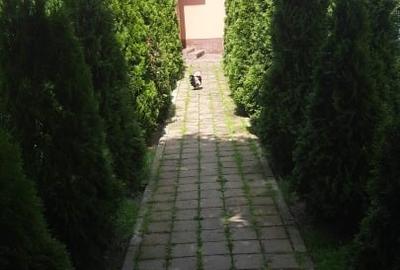 Casa Adunatii Copaceni - 3