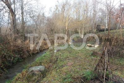 Teren intravilan 8000 mp cu anexa gospodareasca in Vistisoara - 5