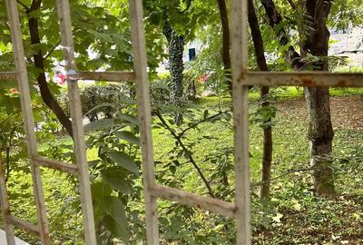 Garsoniera proprietar zona Brancoveanu - Budimex - 4