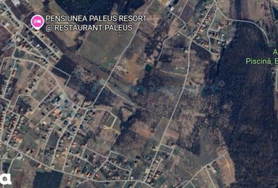Teren de 13265 mp, în Paleu