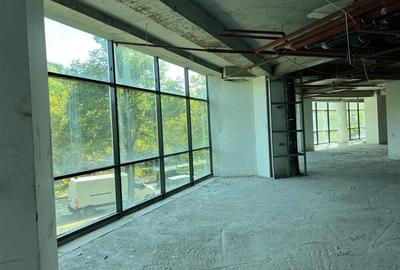 Vanzare Spatiu comercial stradal - Parter si Mezanin - 900 mp - 11
