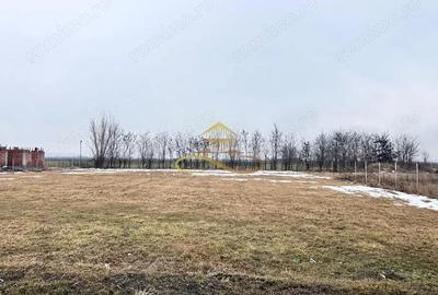 Teren de 900 mp, în Săucești - 5