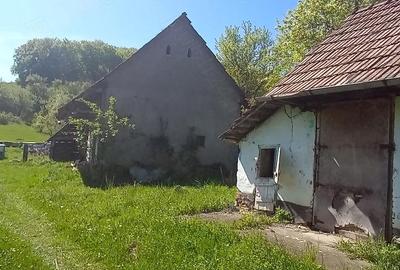 Casă cu 3 camere cu Teren 5400 Mp în Daia (Bahnea) - 1